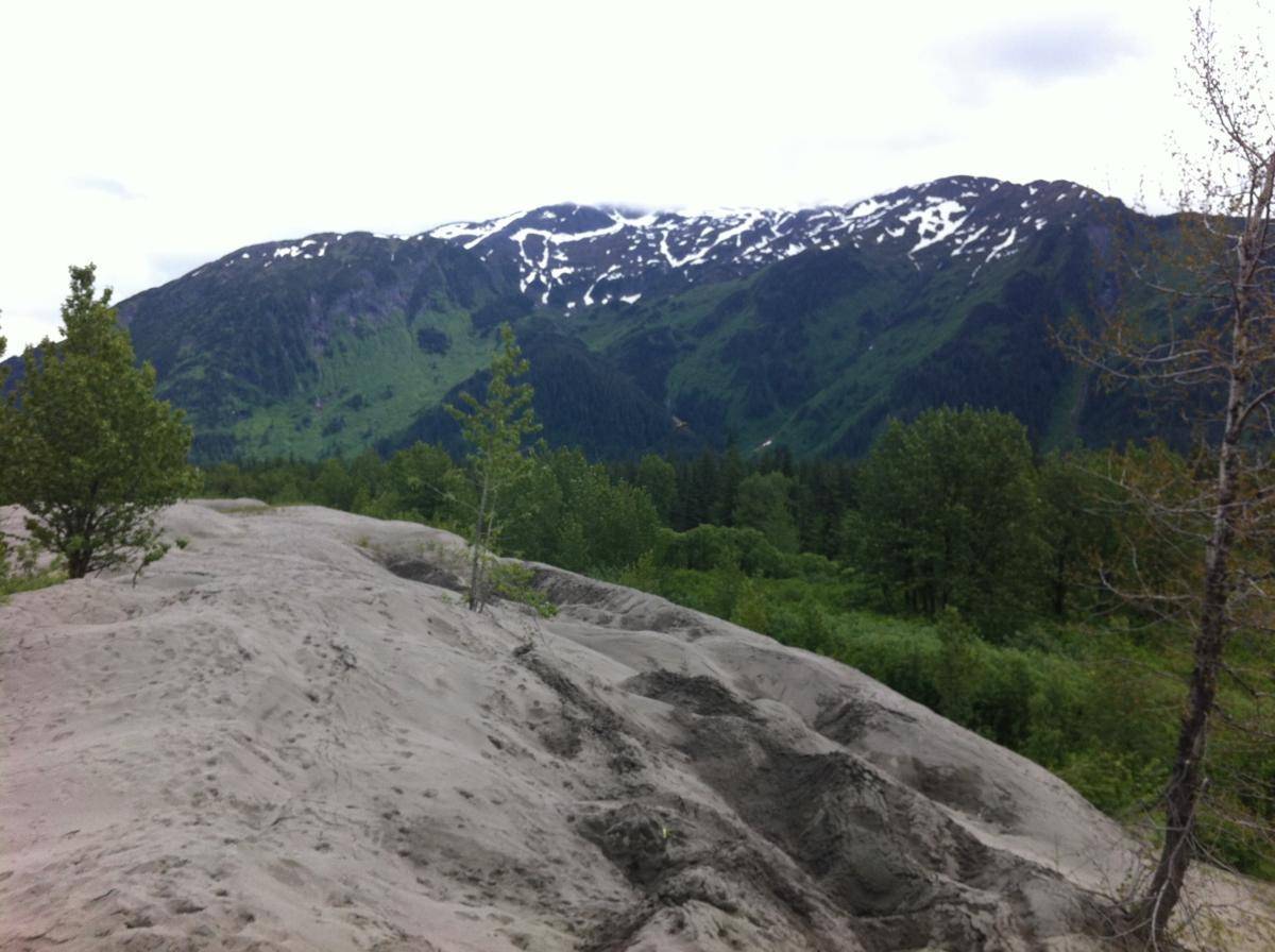 Top of the sand dune