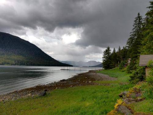 View for the wedding