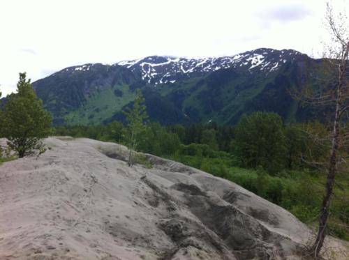 Top of the sand dune
