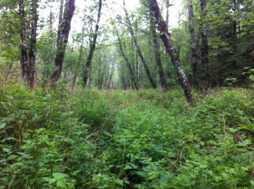 Harry's morning hike