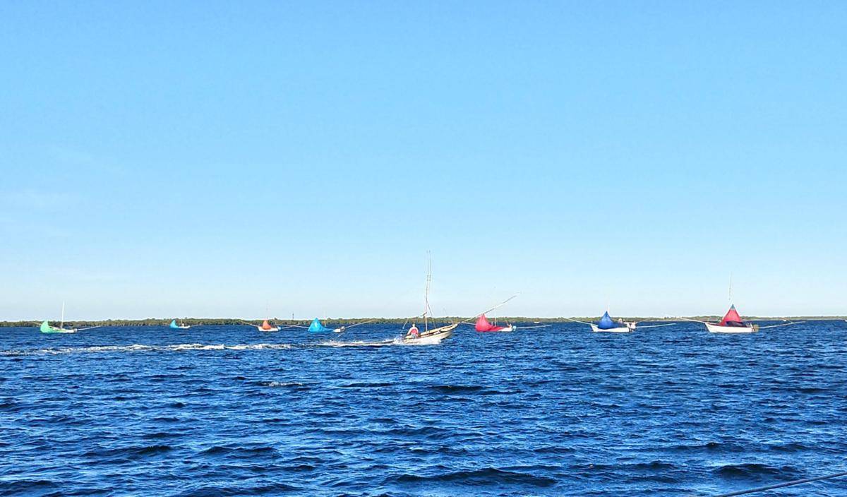 Famous Altata Shrimping Fleet