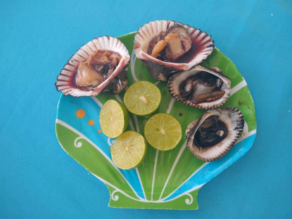 Famous Blood Clams