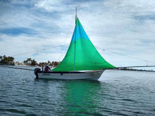 My favorite spinnaker