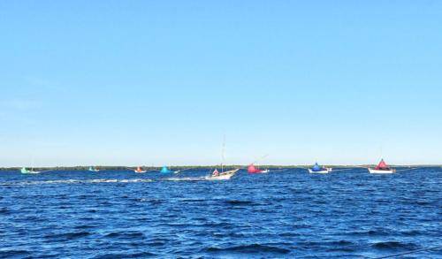 Famous Altata Shrimping Fleet