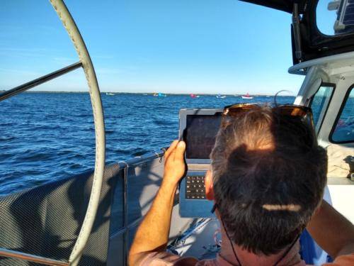 Picture-taking is irresistible. 