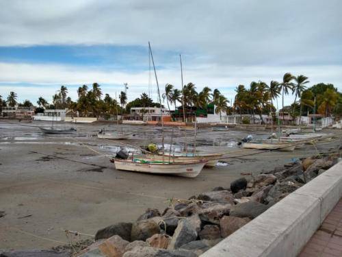 Shrimping fleet done for the day