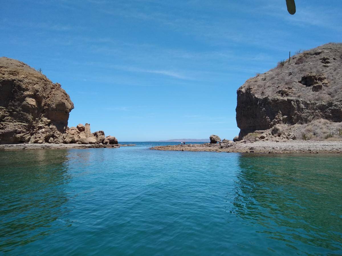 Coleta Candeleros Chico