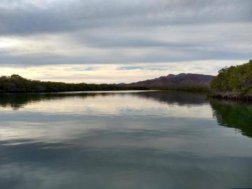 Isla San Jose Mangrove Trip