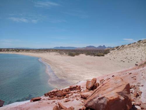 Gorgeous splash of colors