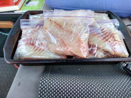 No shopping necessary