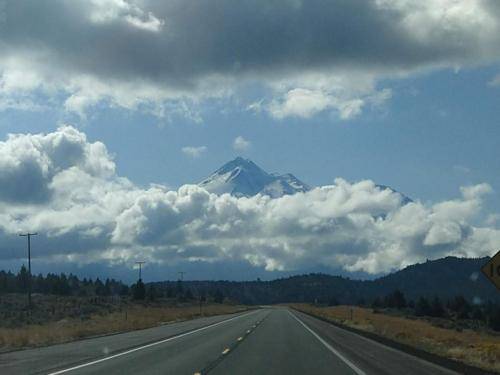 Mt. Shasta