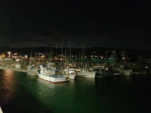 HMB-Harbor at Night