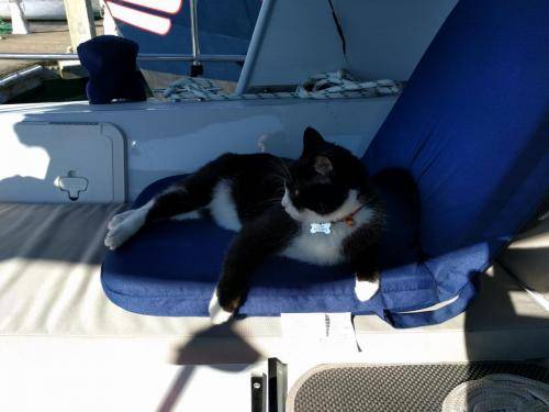 Tux enjoying the cockpit